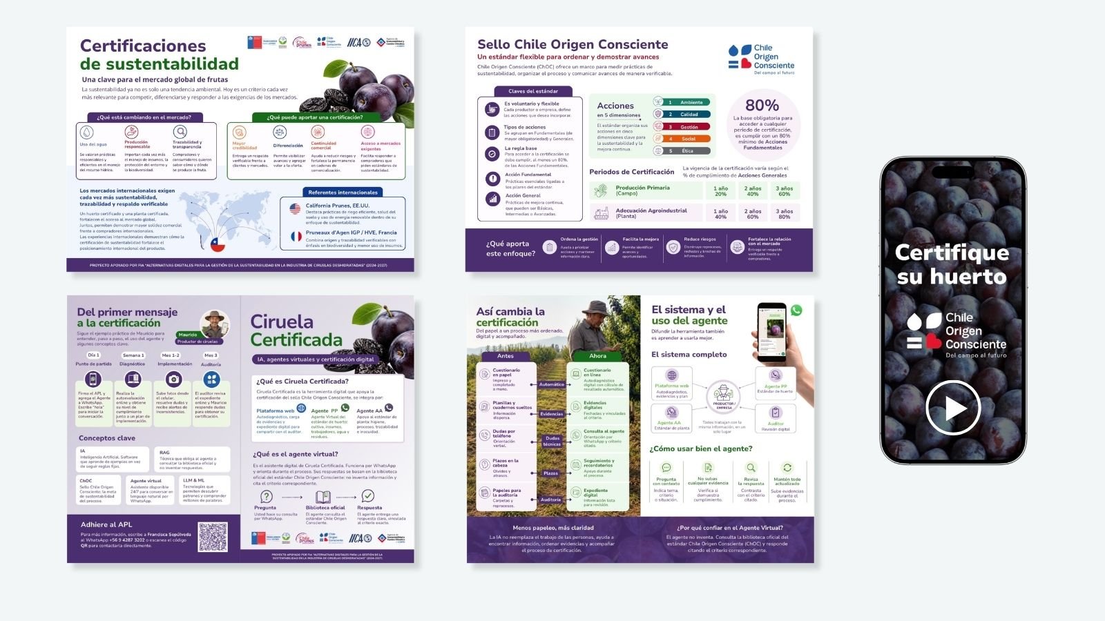Recursos para Estándar de Sustentabilidad de la Industria de Ciruelas Deshidratadas — detalle 1